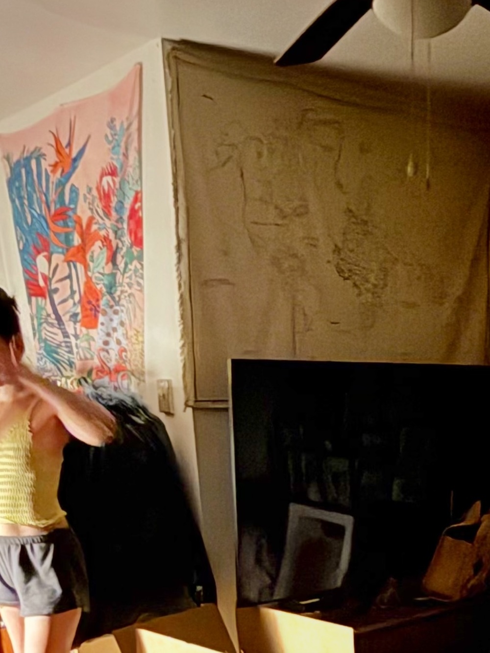 Map Tapestry - Picture 6 of 6
